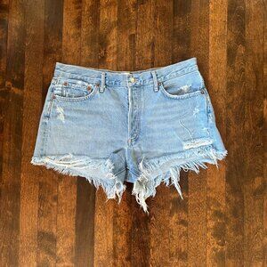 Agolde Parker Vintage Cut Off Short in Swapmeet Size 31